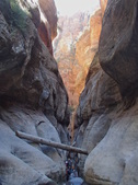 Enlarge photo 18