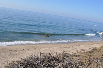 Enlarge photo 23