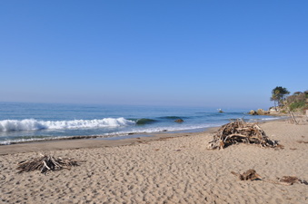 Enlarge photo 21