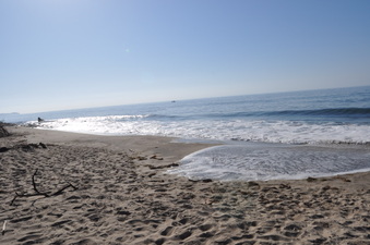 Enlarge photo 24