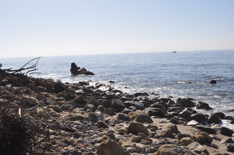 Enlarge photo 26