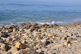 Enlarge photo 19