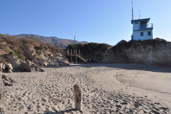 Enlarge photo 6