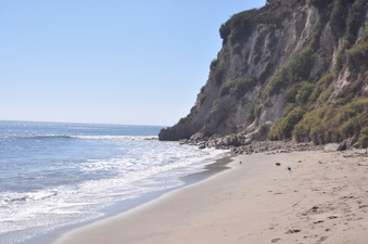 PARADISE COVE