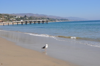 Enlarge photo 18