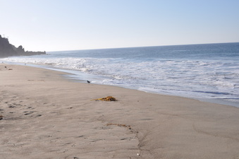 Enlarge photo 24