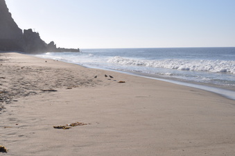 Enlarge photo 32