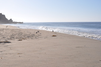Enlarge photo 33