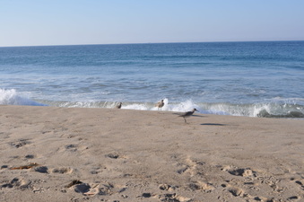 Enlarge photo 29