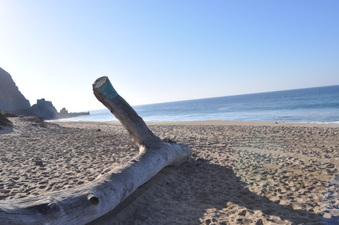 Enlarge photo 15