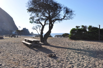 Enlarge photo 11