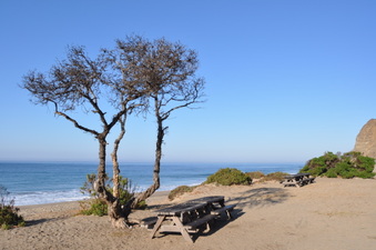 Enlarge photo 10