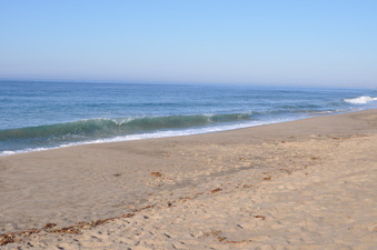SYCAMORE COVE BEACH