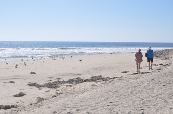 Enlarge photo 24