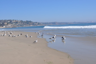 Enlarge photo 23