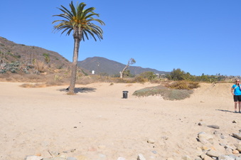 Enlarge photo 7