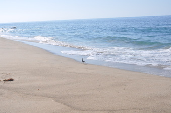 Enlarge photo 19
