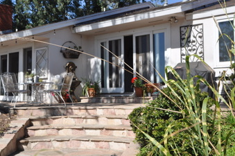 Enlarge photo 27