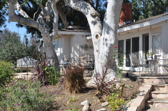 Enlarge photo 8