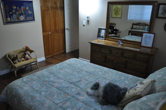 Enlarge photo 50