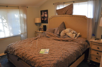 Enlarge photo 42