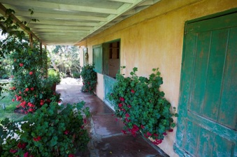 Enlarge photo 74