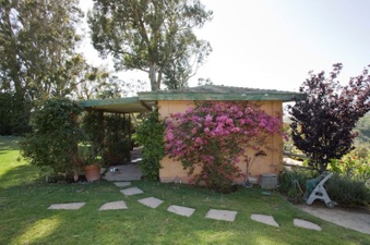 Enlarge photo 78