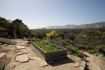 Enlarge photo 57