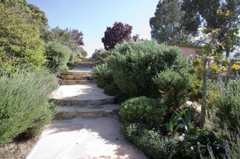 Enlarge photo 99