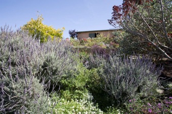 Enlarge photo 125