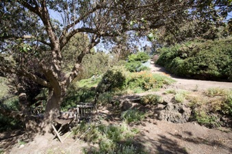 Enlarge photo 13