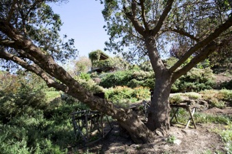 Enlarge photo 115