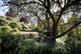 Enlarge photo 106