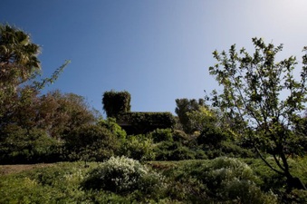 Enlarge photo 119