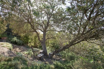 Enlarge photo 124