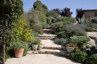 Enlarge photo 24
