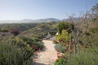 Enlarge photo 11