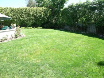 Enlarge photo 25