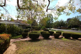 Enlarge photo 52