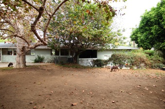 Enlarge photo 17