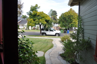 Enlarge photo 44
