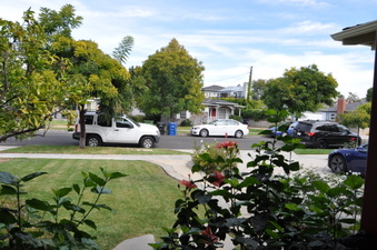 Enlarge photo 51
