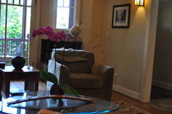 Enlarge photo 53