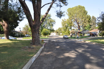 Enlarge photo 44