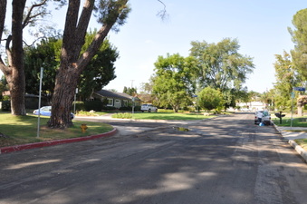 Enlarge photo 41
