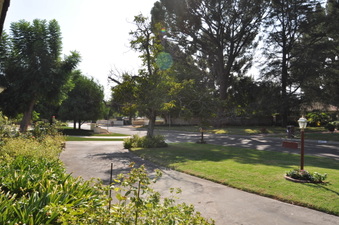Enlarge photo 33