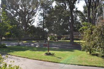 Enlarge photo 38