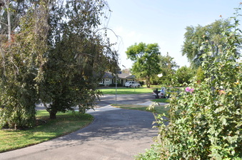 Enlarge photo 30