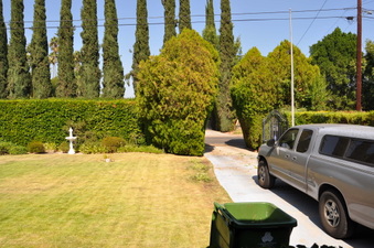 Enlarge photo 14