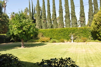 Enlarge photo 33